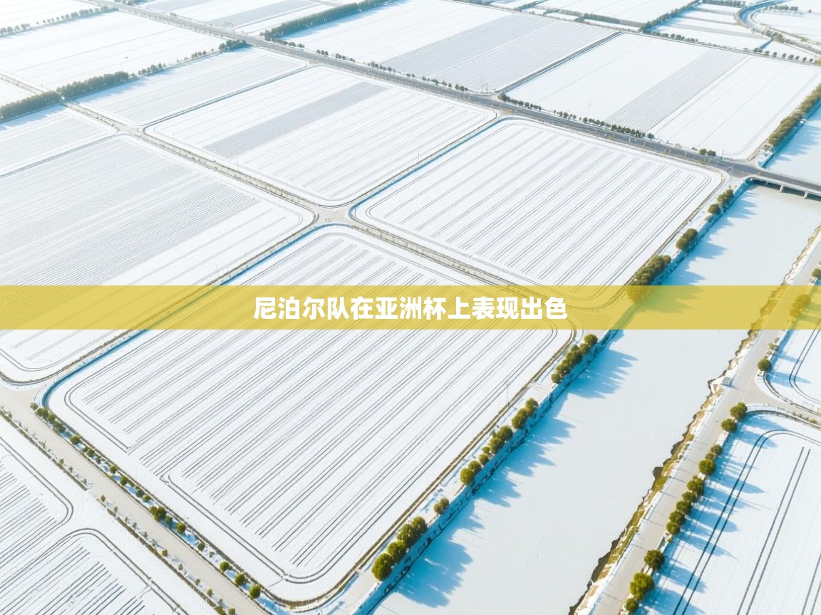 尼泊尔队在亚洲杯上表现出色 第2张