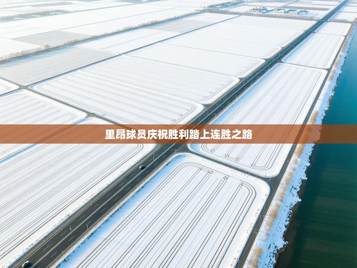 里昂球员庆祝胜利踏上连胜之路  第1张