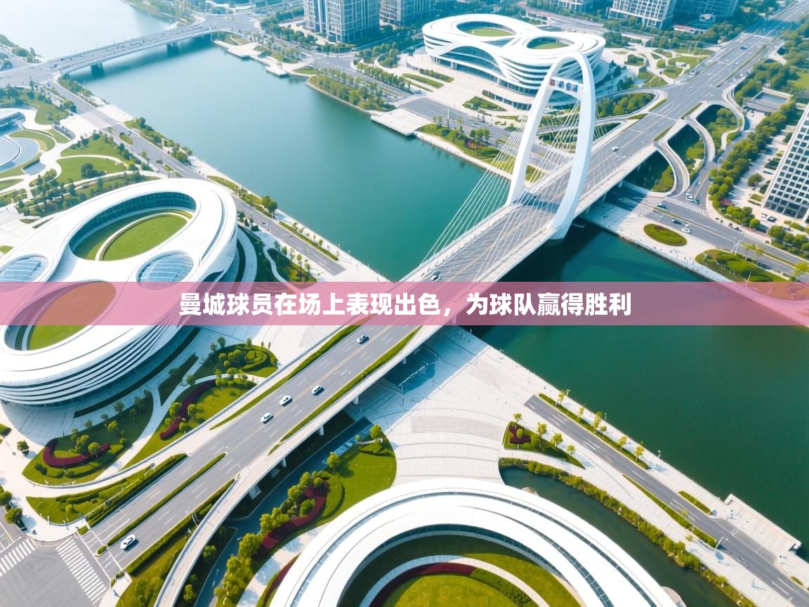 曼城球员在场上表现出色，为球队赢得胜利  第1张