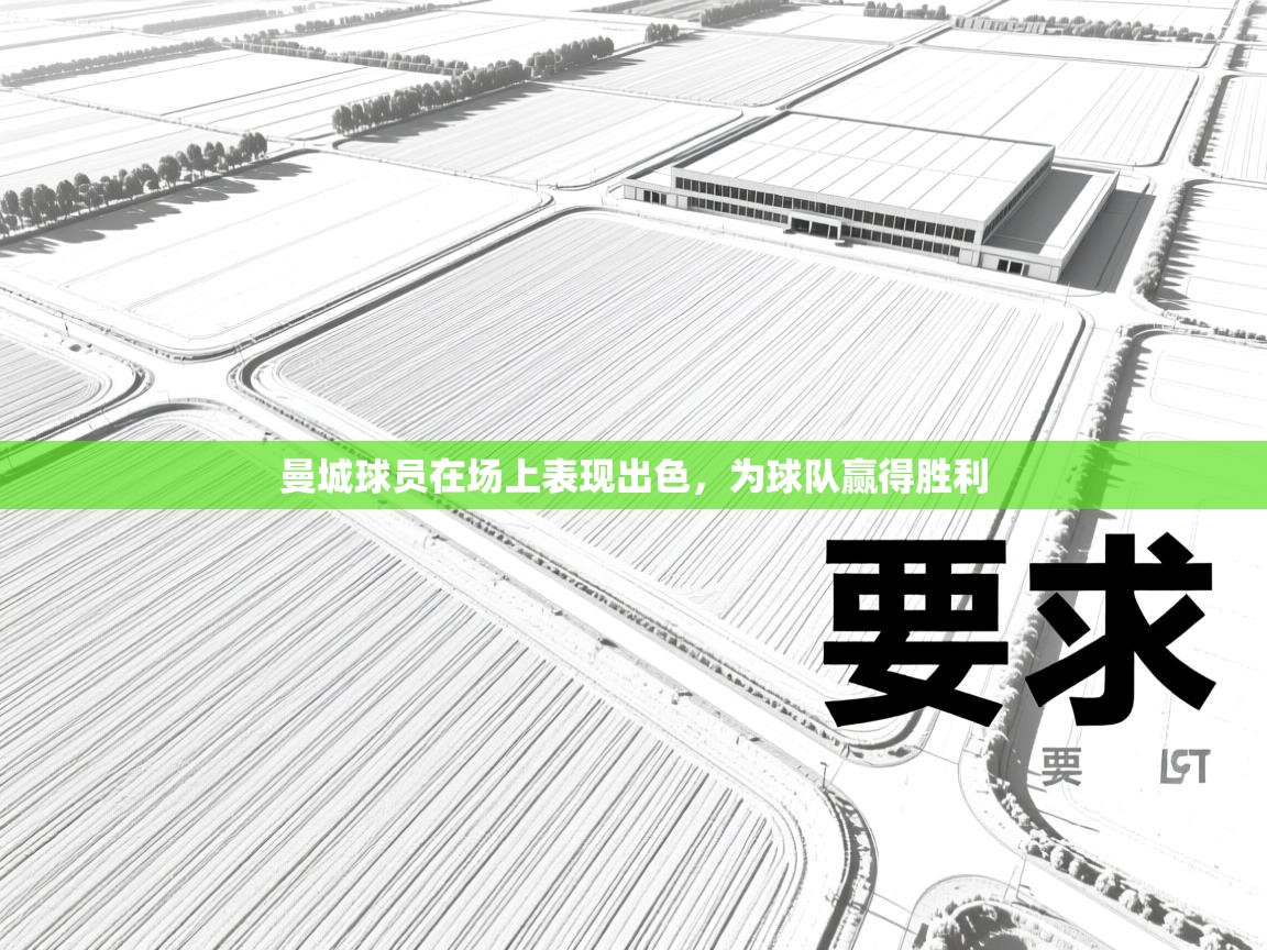 曼城球员在场上表现出色，为球队赢得胜利  第2张