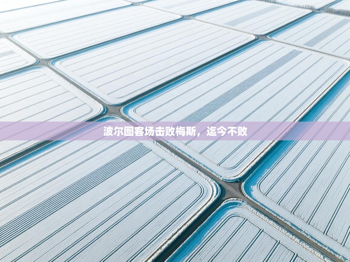 波尔图客场击败梅斯，迄今不败  第2张