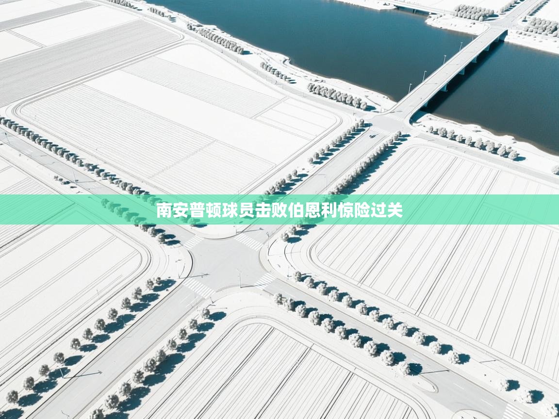 南安普顿球员击败伯恩利惊险过关  第2张