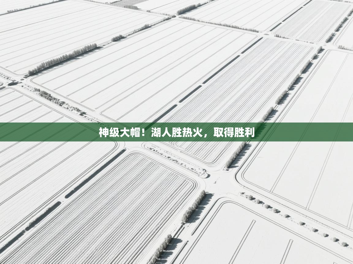 神级大帽！湖人胜热火，取得胜利  第2张