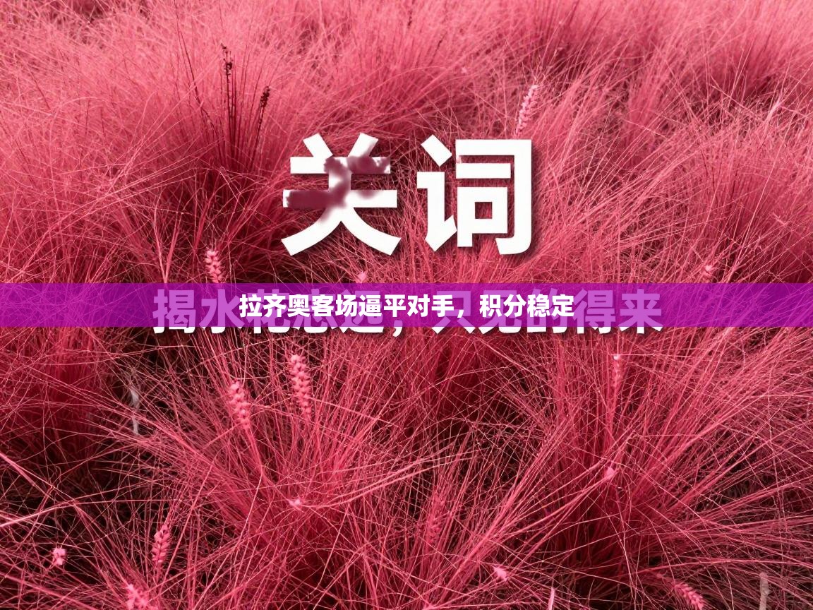 拉齐奥客场逼平对手，积分稳定  第2张