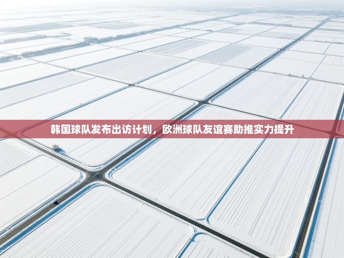 韩国球队发布出访计划，欧洲球队友谊赛助推实力提升  第2张