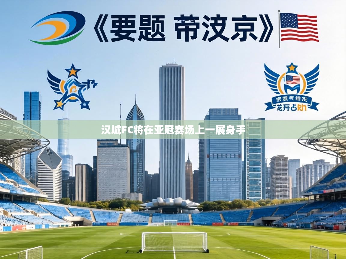 汉城FC将在亚冠赛场上一展身手  第1张