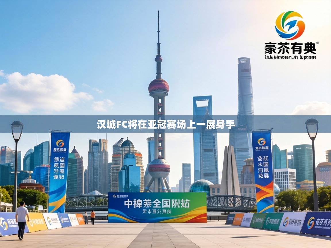 汉城FC将在亚冠赛场上一展身手  第2张